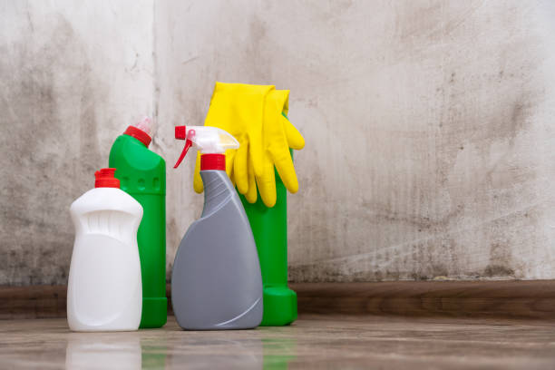 Professional Mold Removal in Addison, TX